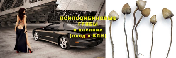 стафф Нея