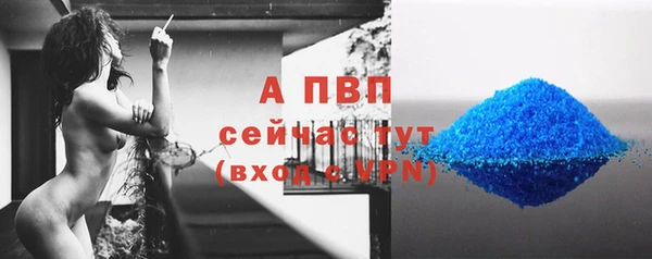 крисы Новодвинск