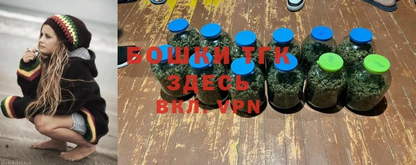 крисы Новодвинск