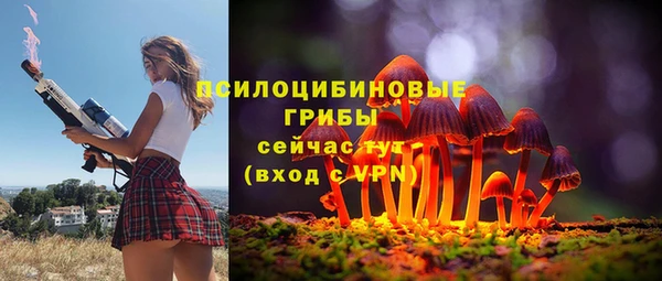 МДПВ Новозыбков