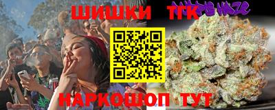 винт Гай