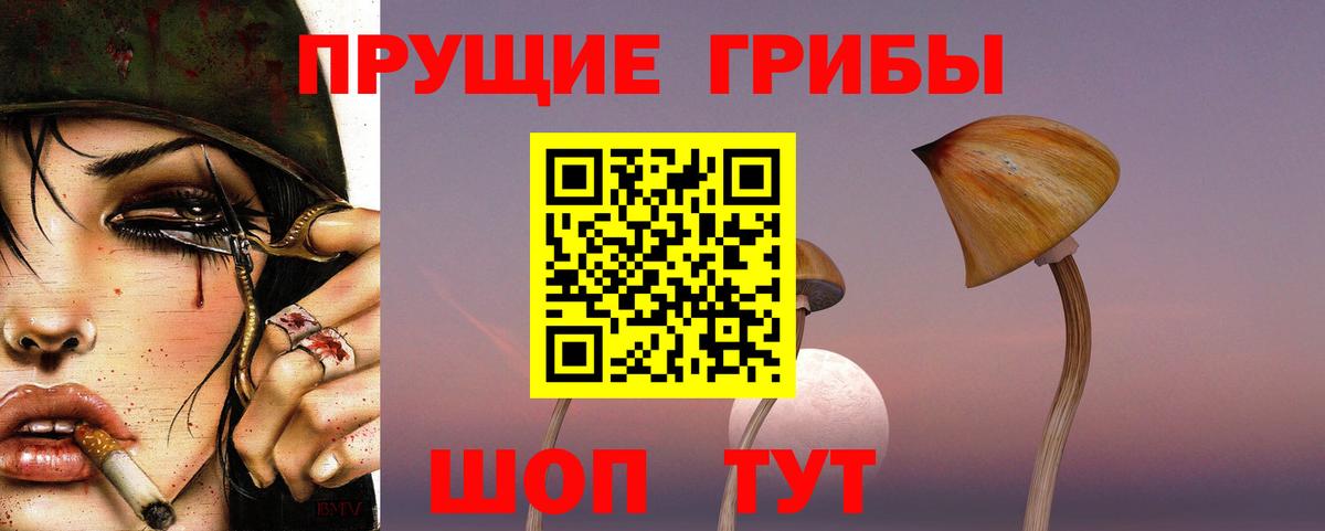 Псилоцибиновые грибы ЛСД Хабаровск