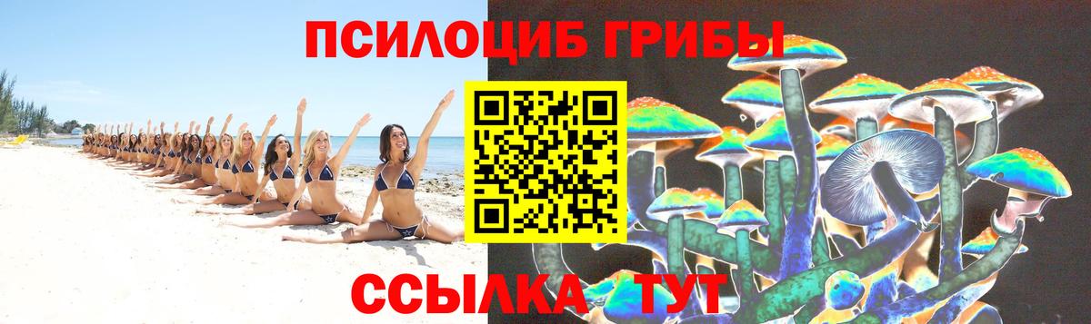 Псилоцибиновые грибы Psilocybe Хабаровск