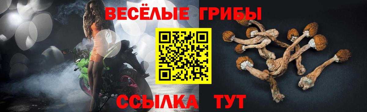 Хабаровск  Галлюциногенные грибы GOLDEN TEACHER  Вход с VPN  Псилоцибиновые грибы мухоморы 