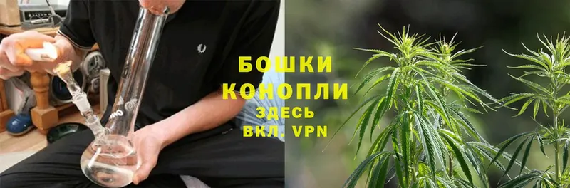 Каннабис White Widow  Хабаровск 